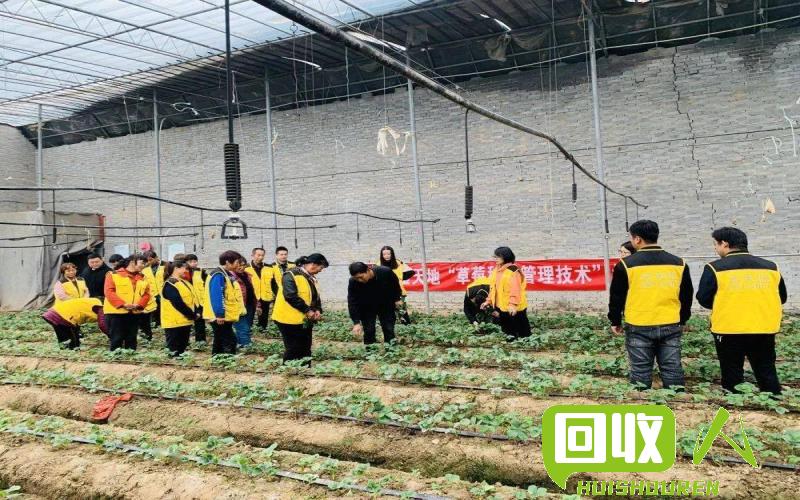 废铁市场：山东省临沂市的“铁血”产业 山东省临沂市废铁市场