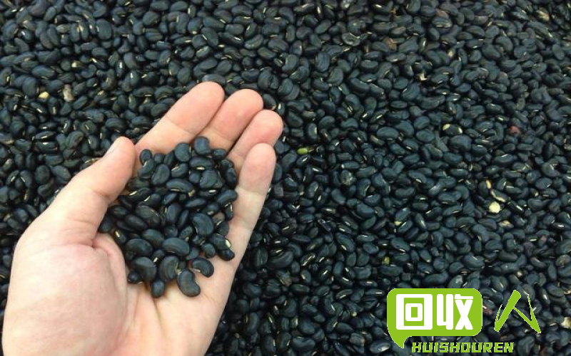 丰收季 广东杂黑香菇价格大幅下降 广东杂黑最新价格
