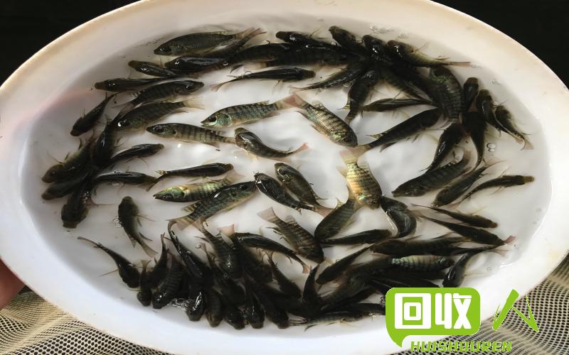 清远铜价动态追踪 清远市铜价最新消息