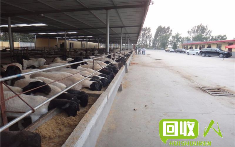 洛阳废铁价格一览及行业动向 河南洛阳废铁多少钱一吨
