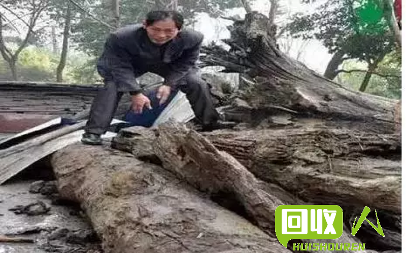 杨树木材售价一吨多少钱？ 杨树锯末多少钱一吨