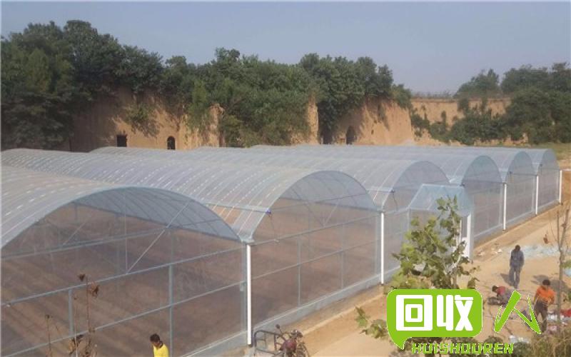 大棚膜颗粒价格及市场需求分析 大棚膜颗粒哪里需要多少钱
