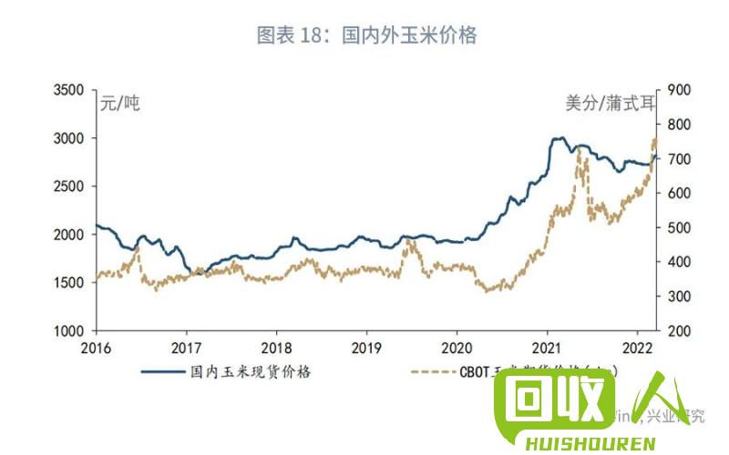 钢带价格波动分析 今日钢带价格走势