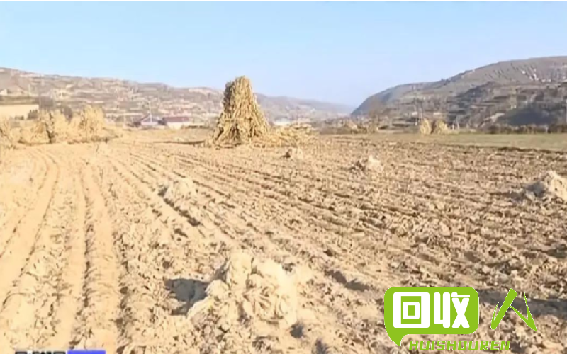 废旧地膜回收价格及影响因素分析 废旧地膜多少钱一吨收
