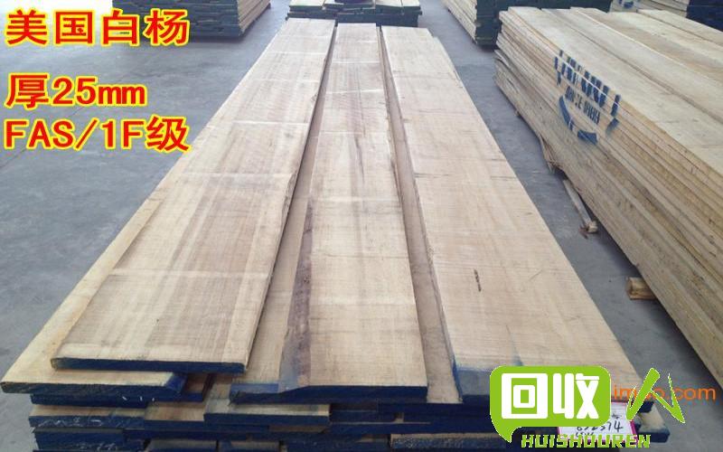 杨木价格最新动向 杨木最新价