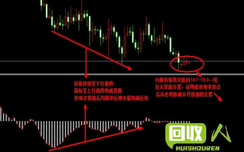 陕西废纸板价格走势详解 陕西废纸板最新行情