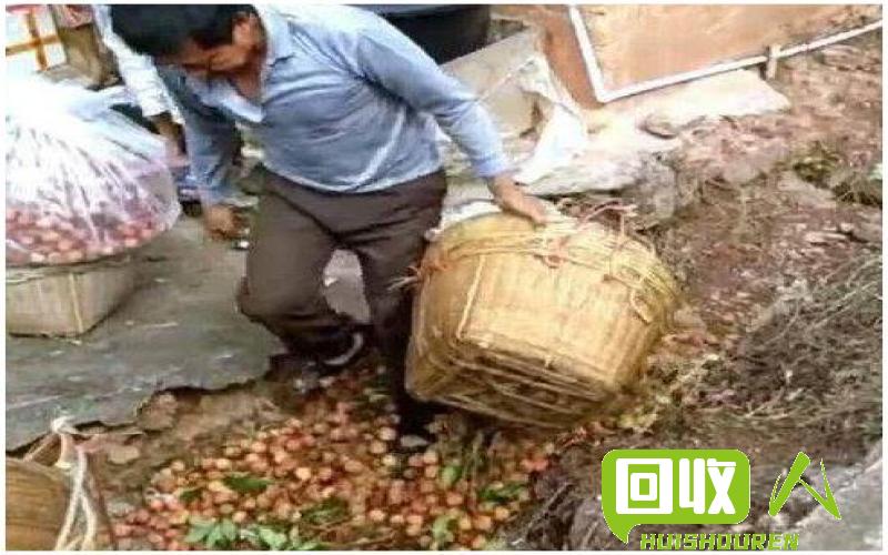 荔枝筐破碎料价格、用途和市场前景解析 荔枝筐破碎料多少钱一吨