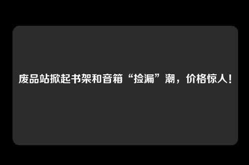 废品站掀起书架和音箱“捡漏”潮，价格惊人！
