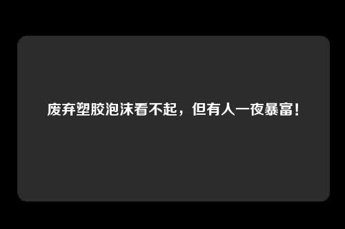 废弃塑胶泡沫看不起，但有人一夜暴富！
