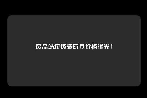 废品站垃圾袋玩具价格曝光！