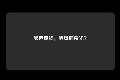 酿造废物，酵母的荣光？