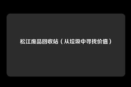 松江废品回收站（从垃圾中寻找价值）