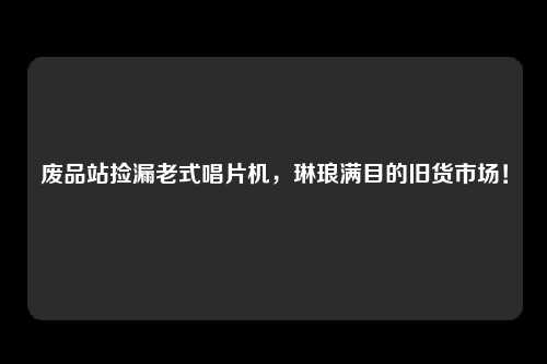 废品站捡漏老式唱片机，琳琅满目的旧货市场！