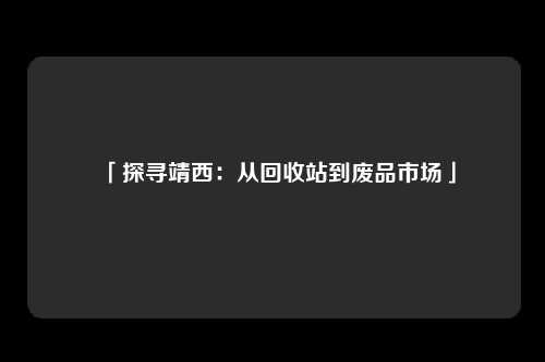「探寻靖西：从回收站到废品市场」