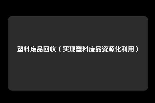塑料废品回收（实现塑料废品资源化利用）